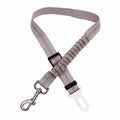 Coleira de Segurança PawSafe
