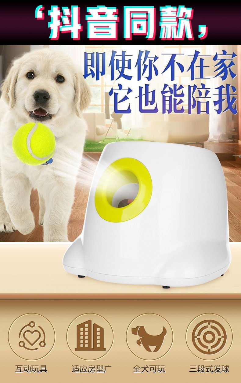 Lançador De Bola Automático Para Pet